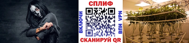 Бошки марихуана планчик Севск